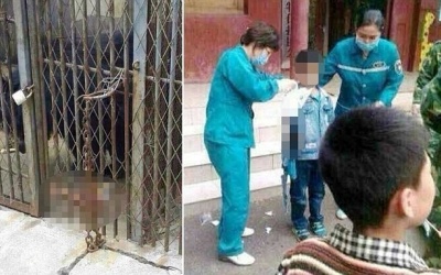 Cậu bé 9 tuổi bị gấu cắn đứt tay trong vườn thú